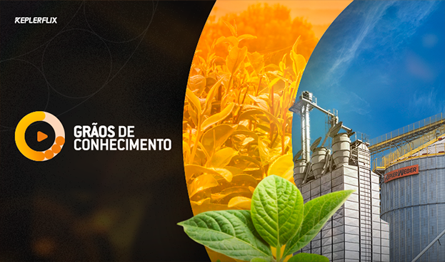 W GRAOS DE CONHECIMENTO